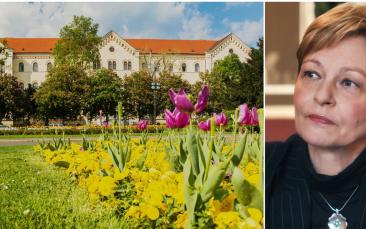 Cover image of ERC welcomes the first Croatian member of the Scientific Council